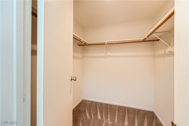 walk in closet featuring carpet flooring