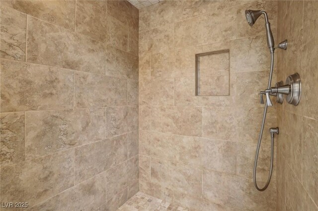 room details with tiled shower