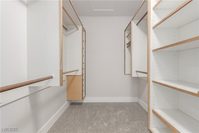 spacious closet with carpet flooring