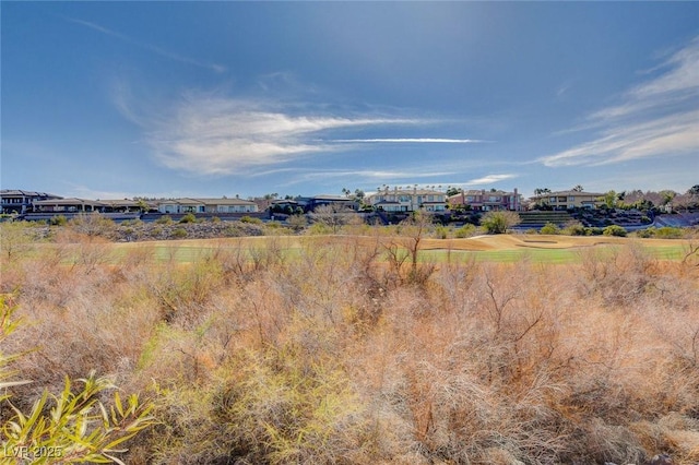 view of local wilderness