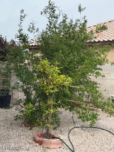 1286 N Sloan Ln, Las Vegas, NV 89110 - photo 15