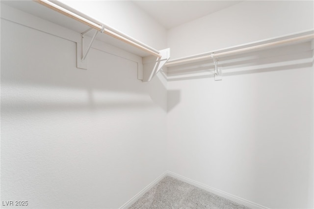 2902 Hemi Orange Ave, North Las Vegas, NV 89086 - spacious closet with carpet floors