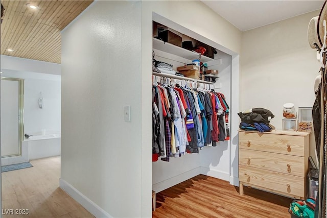 spacious closet with wood finished floors