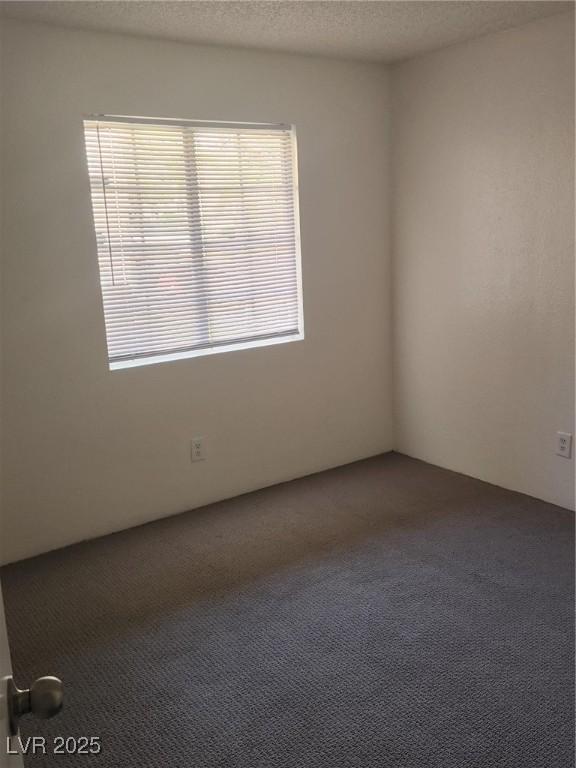 spare room with a textured ceiling and carpet floors