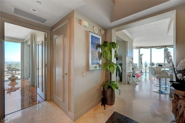 hall with expansive windows, visible vents, baseboards, and a healthy amount of sunlight