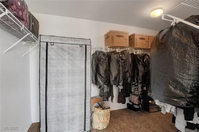 9413 Artesian Oak Ct, Las Vegas, NV 89149 - spacious closet with carpet floors