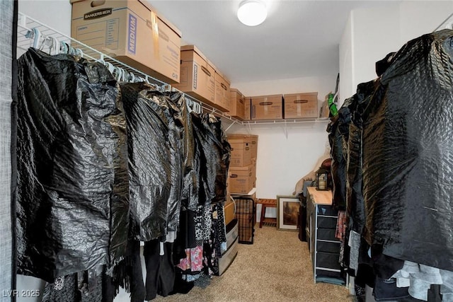 9413 Artesian Oak Ct, Las Vegas, NV 89149 - walk in closet with carpet floors