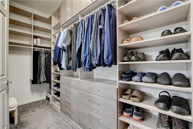 spacious closet featuring carpet flooring