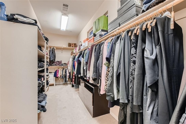 spacious closet featuring carpet flooring and visible vents