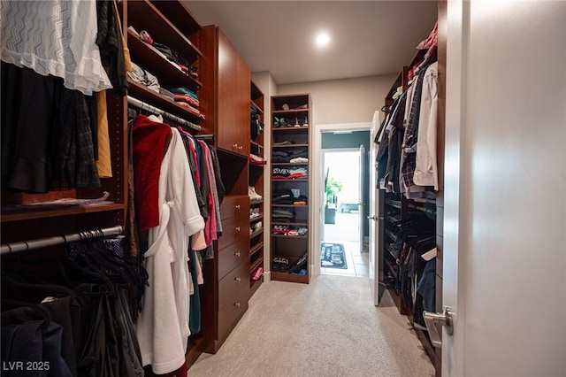 walk in closet with carpet floors