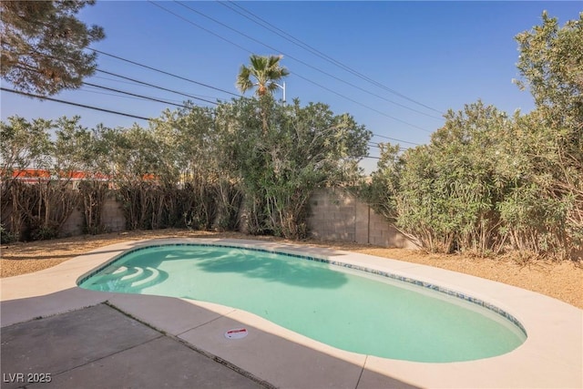 view of pool with a fenced backyard, a patio, and a fenced in pool