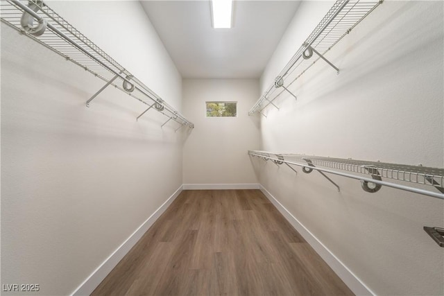 walk in closet featuring wood finished floors