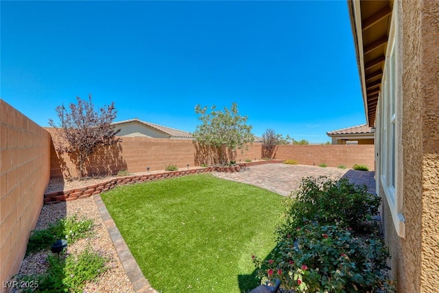 view of yard with a patio area