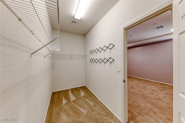 walk in closet with carpet flooring