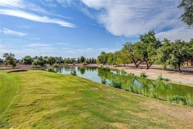 6059 Wheat Penny Ave, Las Vegas, NV 89122 - photo 48