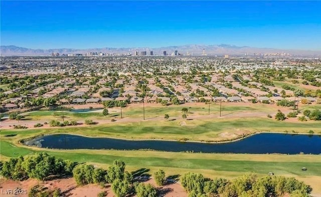 6059 Wheat Penny Ave, Las Vegas, NV 89122 - photo 51