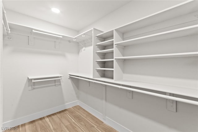 spacious closet featuring light wood finished floors
