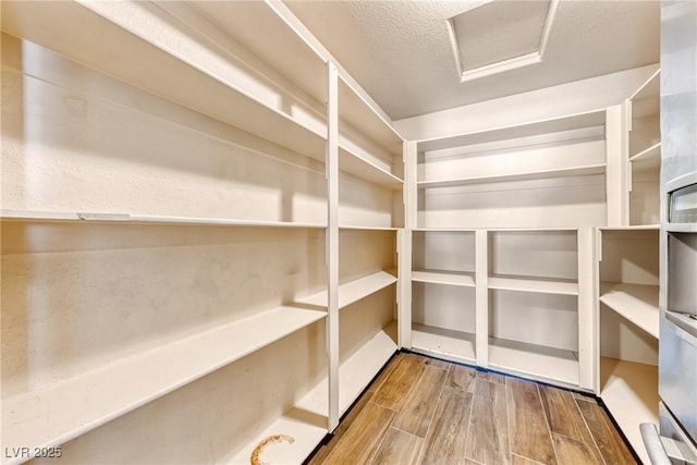 2681 Underbrush Ave, Pahrump, NV 89048 - view of pantry