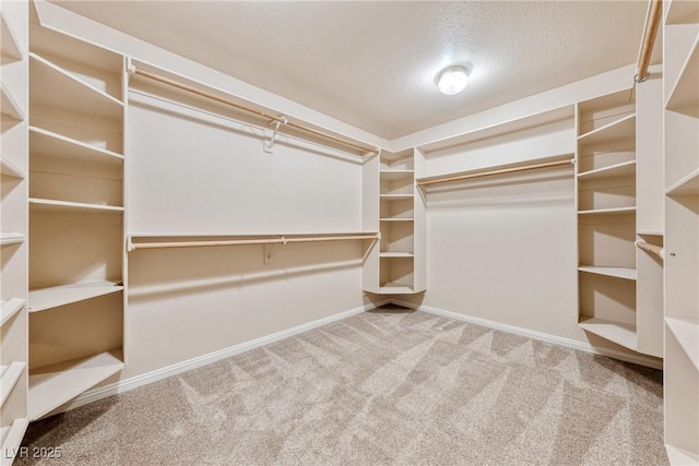 2681 Underbrush Ave, Pahrump, NV 89048 - walk in closet featuring carpet floors