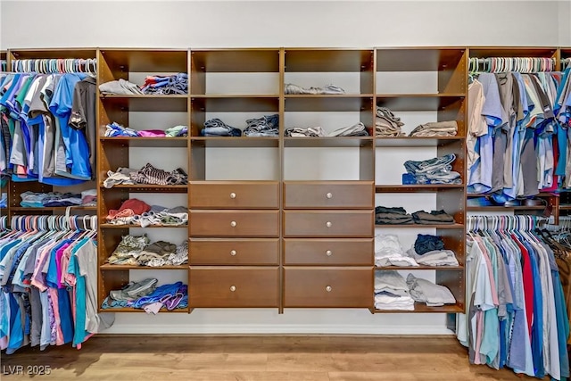 walk in closet with wood finished floors