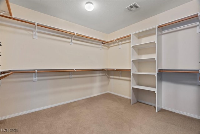 1776 Gentle Brook St, North Las Vegas, NV 89084 - walk in closet with carpet flooring and visible vents
