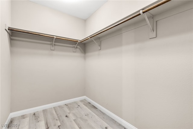 walk in closet with light wood-type flooring