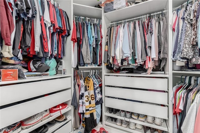 view of walk in closet