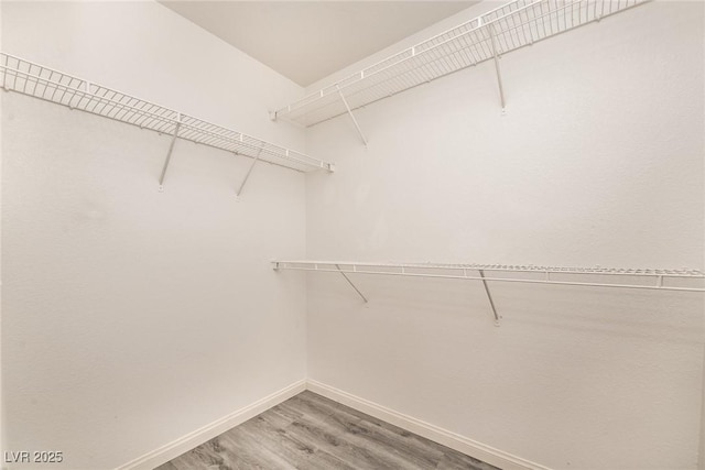 3434 Denali Preserve St, Las Vegas, NV 89122 - walk in closet with wood finished floors