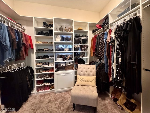 spacious closet featuring carpet floors