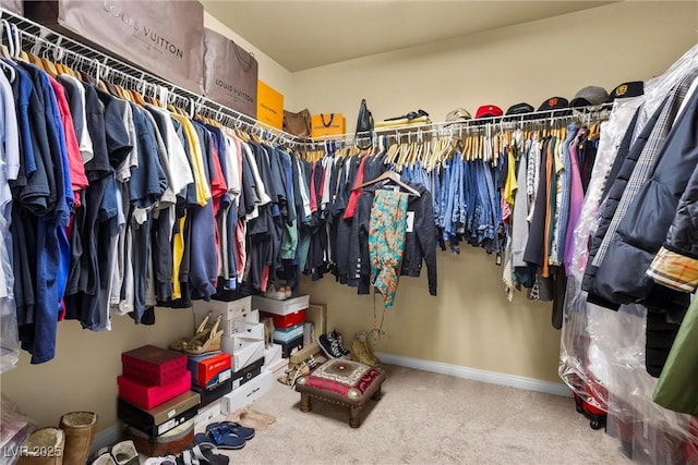 walk in closet with carpet floors