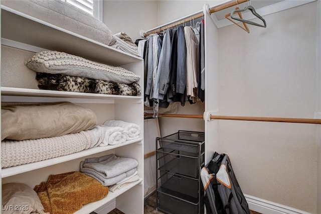 11342 Early Sun Ct, Las Vegas, NV 89135 - view of spacious closet
