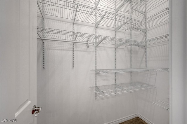 view of spacious closet