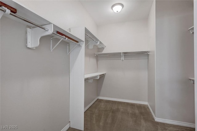 spacious closet with carpet