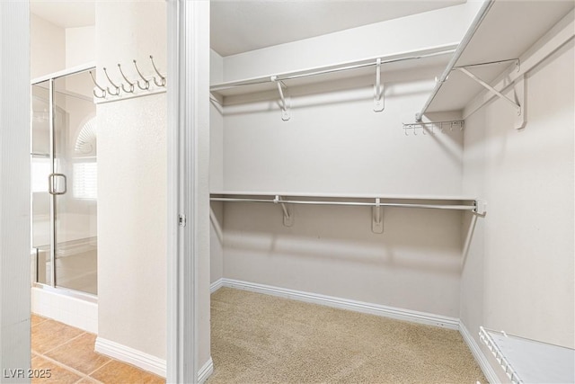9539 Iris Flat Ct, Las Vegas, NV 89178 - spacious closet with carpet floors