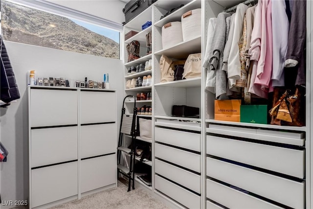 spacious closet with light carpet