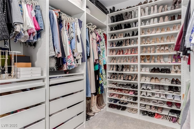 view of walk in closet