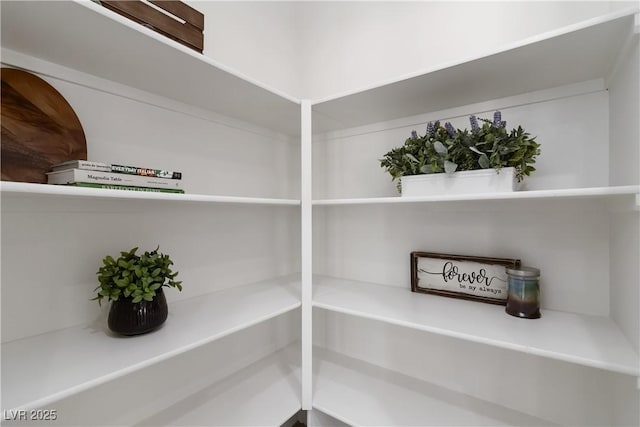 5317 Golden Melody Ln, North Las Vegas, NV 89081 - view of storage area