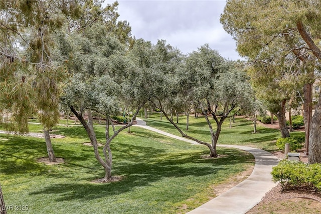 9705 Floweret Ave, Las Vegas, NV 89117 - view of home's community featuring a yard