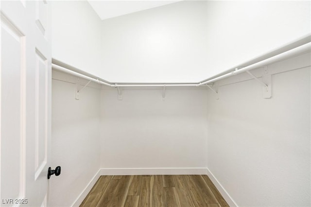 walk in closet with dark wood finished floors