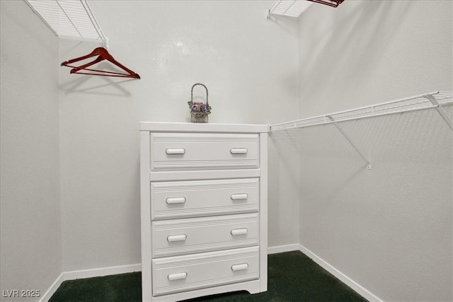 6480 Annie Oakley Dr Unit 511, Las Vegas, NV 89120 - view of spacious closet
