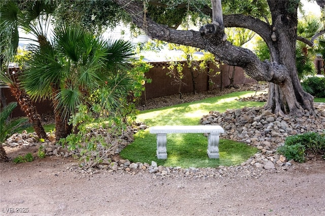 view of yard