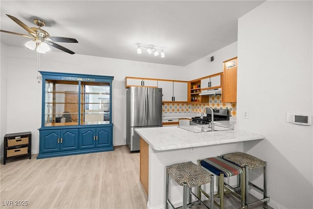 5751 Hacienda Ave Unit 135, Las Vegas, NV 89122 - kitchen featuring freestanding refrigerator, under cabinet range hood, a sink, light wood-type flooring, and open shelves
