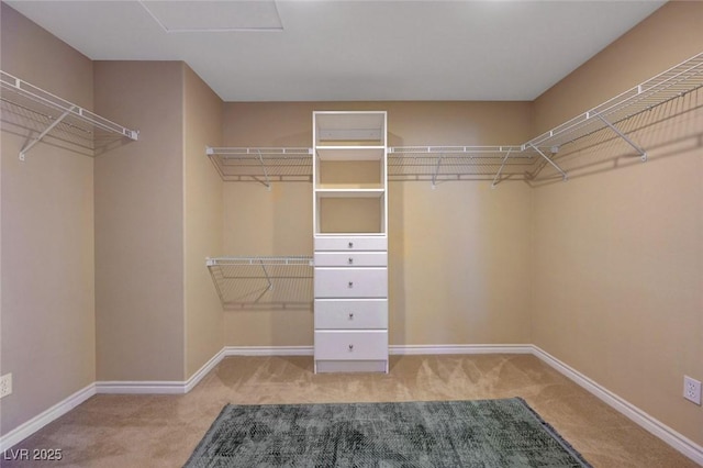spacious closet with carpet flooring