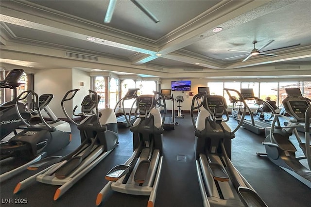 1045 Via Camelia St, Henderson, NV 89011 - exercise room with crown molding, ceiling fan, and visible vents