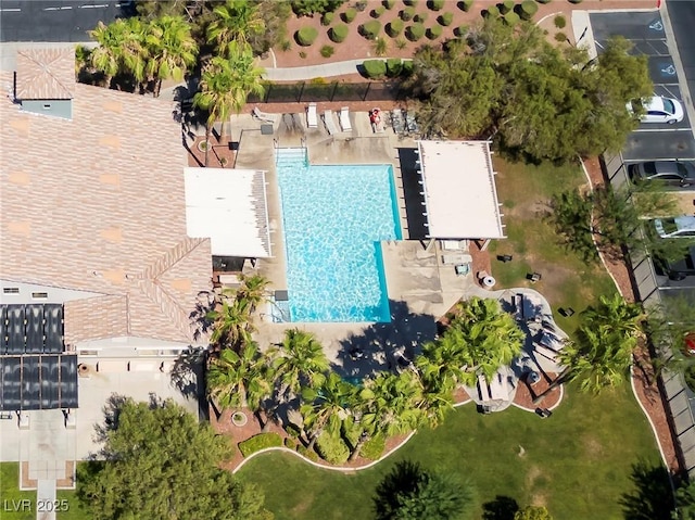 drone / aerial view