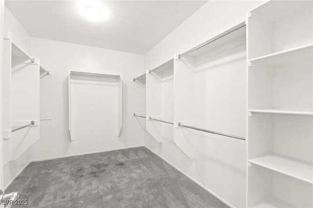 3528 Tack St, Las Vegas, NV 89122 - walk in closet with carpet flooring
