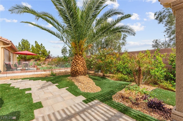 3528 Tack St, Las Vegas, NV 89122 - view of yard with a patio area and a fenced backyard