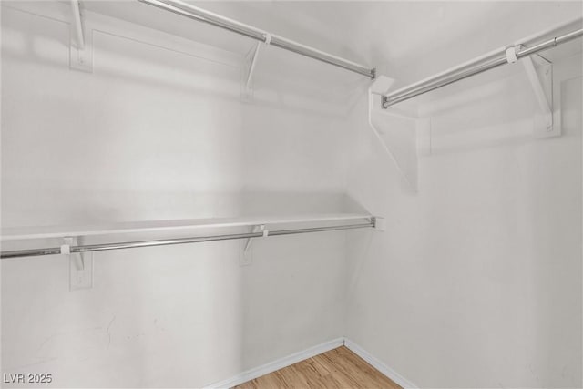 walk in closet with light wood-style flooring