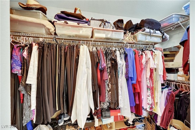 view of closet