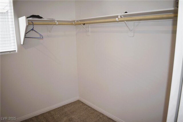 12186 Scarlet Ember Rd Unit 3, Las Vegas, NV 89183 - spacious closet with carpet floors